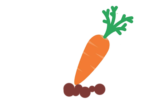 carrot-after