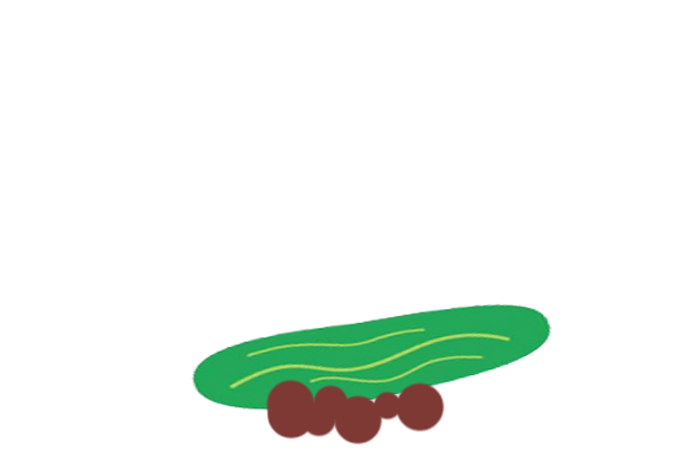 cucumber-after